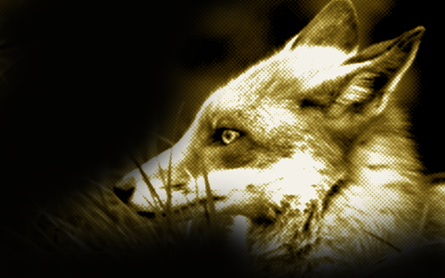狐の基礎 人狼道
